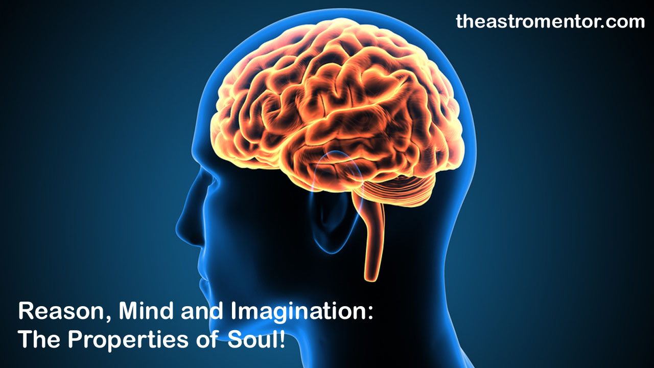 What is the Meaning and Function of Mind?